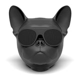 Magnifique enceinte Bluetooth bulldoglibclic.com